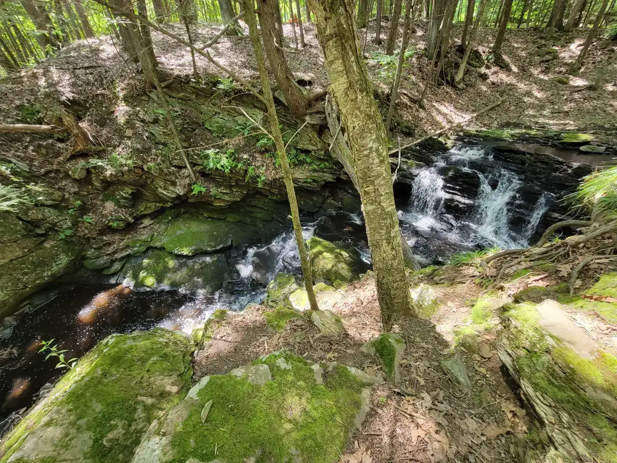 Photograph of Codfish Falls